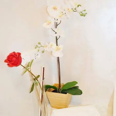 Lejlighed 6 Stars Rom